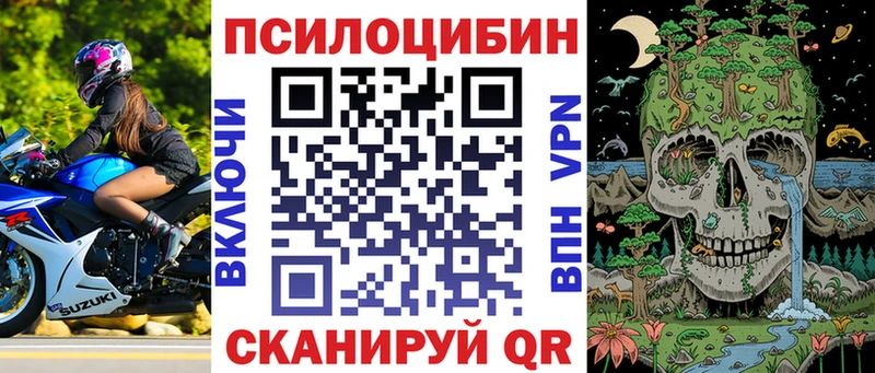 Псилоцибиновые грибы прущие грибы  Купить где  Зубцов 